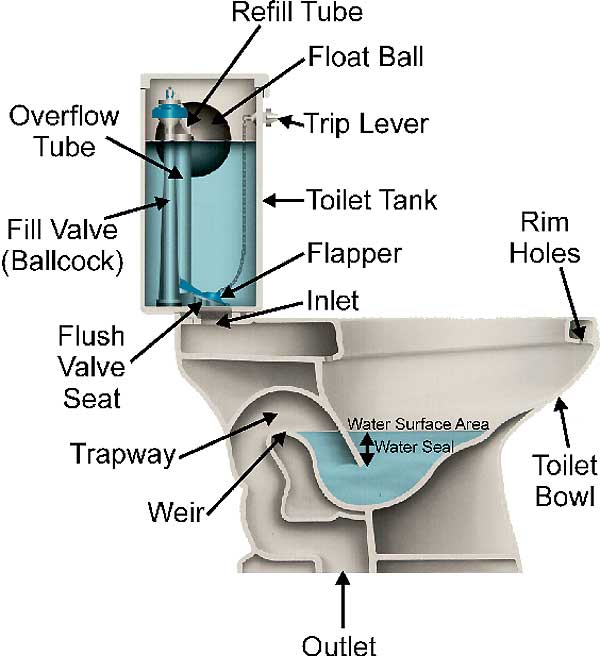 drawing of a toilet and its parts